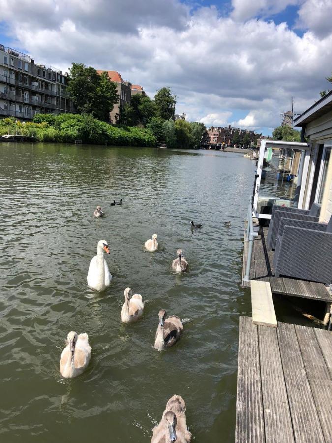 Luxury Studio On Robs Houseboat Special For Couples Amsterdam Exteriör bild